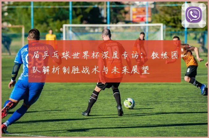 届乒乓球世界杯深度专访：教练团队解析制胜战术与未来展望