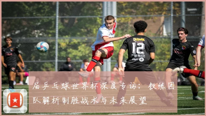 届乒乓球世界杯深度专访：教练团队解析制胜战术与未来展望