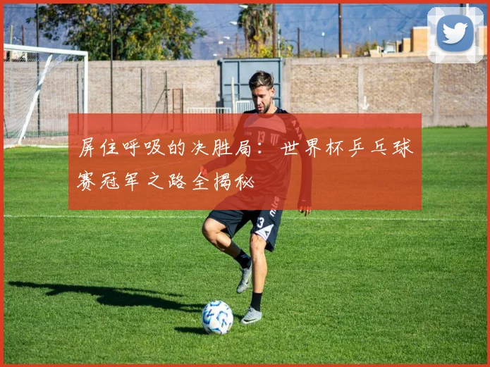 屏住呼吸的决胜局:世界杯乒乓球赛冠军之路全揭秘