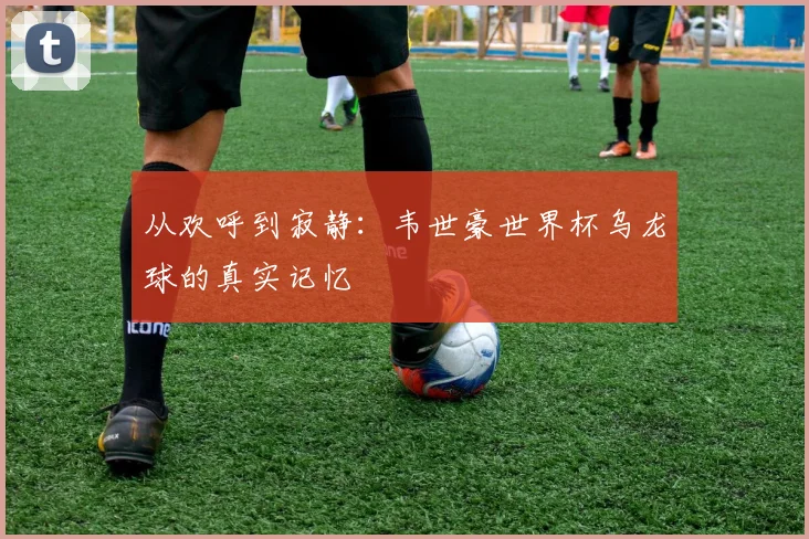 从欢呼到寂静：韦世豪世界杯乌龙球的真实记忆