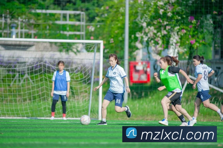 大阳城app注册网站平台生态图